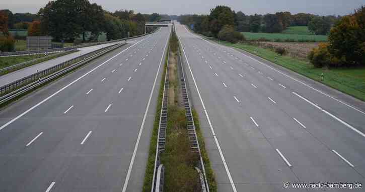 Durch Unfall verstörter Hund stoppt Verkehr auf Autobahn