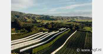 Tegen 2025 wil Zespri 100% recyclebare, herbruikbare of composteerbare verpakkingen