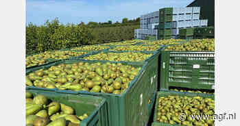 "Sterke start perenseizoen, maar met de nodige uitdagingen"