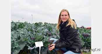 14 nieuwe variëteiten, waaronder roze ui, paarse sprouting broccoli en gele spaghettipompoen