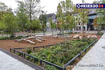 VERKIEZINGEN 2024. Genkenaren willen een nettere stad: “Maar het stadsbos is fantastisch”