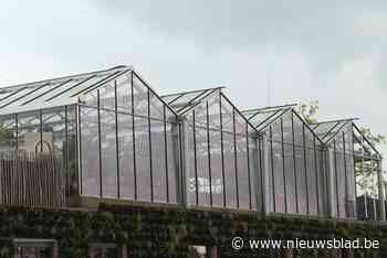 Stadsboerderij op PAKT in Groen Kwartier wil professionaliseren en verder uitbreiden