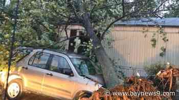 Pasco County government opening offices for storm recovery