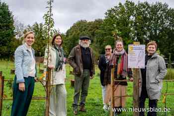 Veerkrachtwandeling biedt gelegenheid om fysiek en mentaal tot rust te komen: “Dit hadden we nog niet in Aalst”