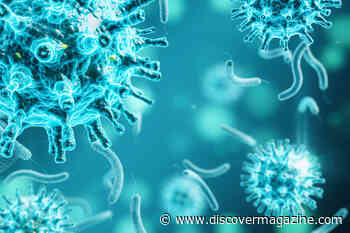 How to Build A Virtual Cell With Artificial Intelligence