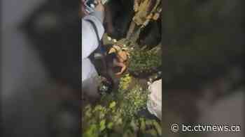 'It's ridiculous': Kelowna father furious after violent attack on his 13-year-old daughter