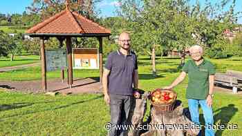 Walddorfer Apfelfest: Die Besucher dürfen die Früchte probieren