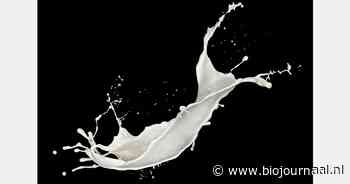 Arla Foods-melkprijs stijgt in oktober 2024