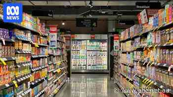 'Shrinkflation' is lightening your grocery cart while you pay the same price. The government wants to redo pricing rules