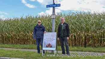 Neubau des Landratsamts: Gegner stellen Vorgehen des Landrats infrage