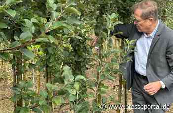 MdB Rainer Semet absolviert "Praktikum" in Baumschule