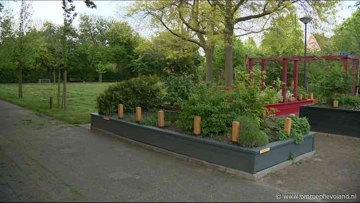 Lelystad - Gereedschap gestolen bij Lelystadse Ruiltuin, vrijwilligers balen enorm