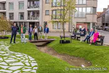 Oude bushalte omgetoverd tot groen rustpunt, en dat is voor heel wat goed