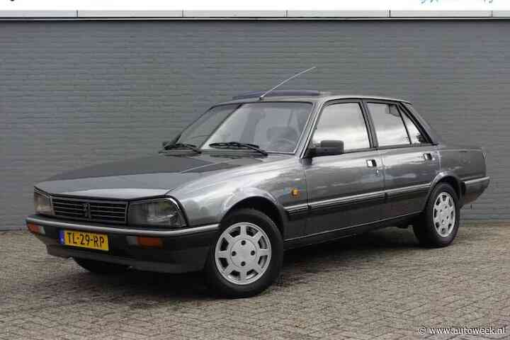 Dikker dan deze Peugeot 505 ga je 'm niet snel vinden - Liefhebber Gezocht