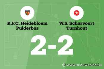 White Star speelt gelijk in uitwedstrijd tegen Pulderbos