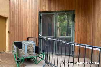 Bezoekers ZOO Antwerpen reageren op verlies nijlpaarden: “We leven mee met verzorgers die ‘hun kindje’ moesten afgeven”