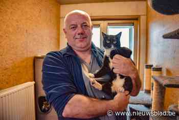 Vzw dierenvrienden na overname Lommels asiel: “Geef ons nog paar maanden om alles op punt te zetten”