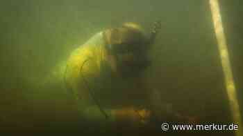 Nach 250 Millionen Jahren: Forscher mit spektakulärer Entdeckung – „das ist erst der Anfang“