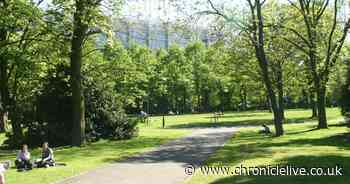 Residents asked to share views to help shape Newcastle parks' future