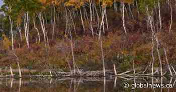 Your Saskatchewan photo of the day: October 2024