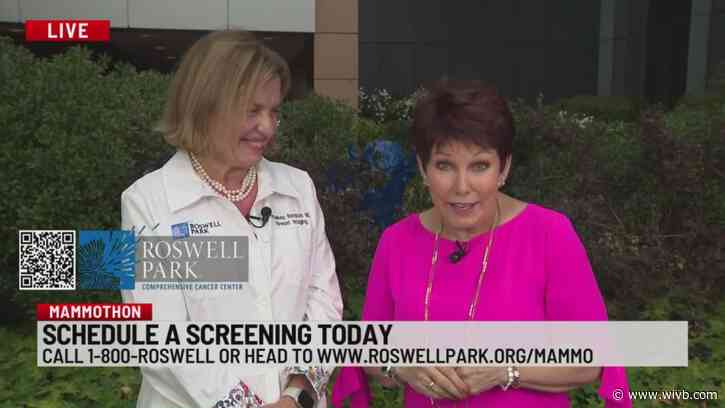 Mammothon 2024 interviews