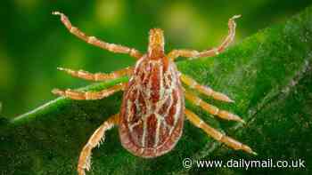 First case of rare parasite-borne illness reported in the Northeast - as scientists warn more states could be next