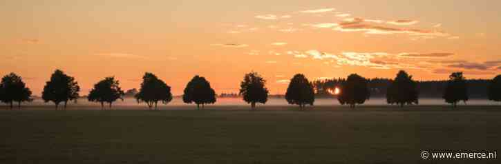 Wagner verdubbelt webshop omzet in één jaar met slimme online strategie