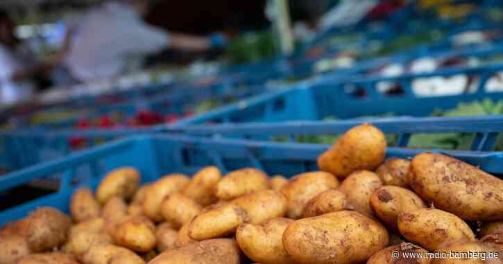 Kartoffelanbauer erwarten durchschnittliche Erträge