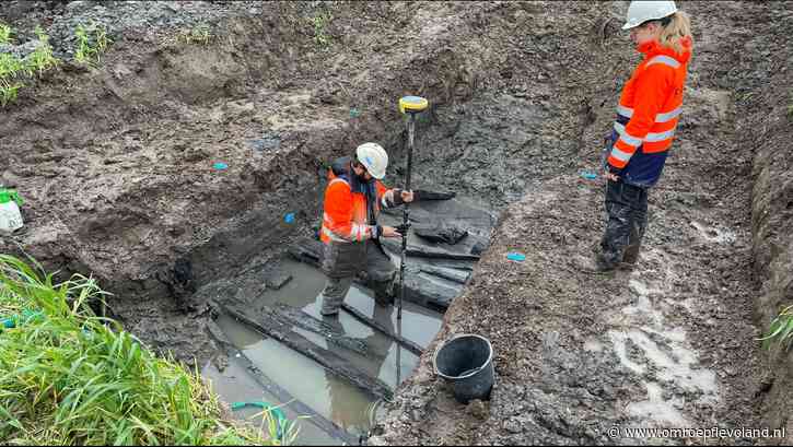 Almere - Archeoloog onderzoekt houtmonsters om mysterie middeleeuws kerkdak te ontrafelen