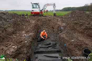 Archeoloog onderzoekt houtmonsters om mysterie middeleeuws kerkdak te ontrafelen