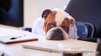 Entscheidungen: Wie Sie mit Nudging Gewohnheiten ändern