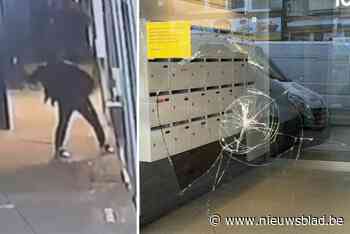 Onbekende man vernielt zeven ramen met hamer in Korte Zavelstraat, politie start onderzoek