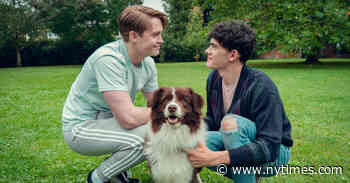 7 Books Like ‘Heartstopper’ to Read After You Binge Season 3 on Netflix