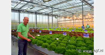 Toekomstbestendige methoden voor slateelt