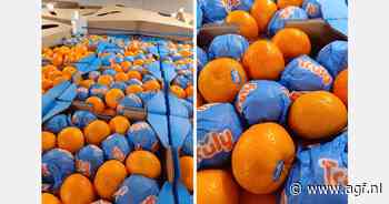 "Minder warm weer stimuleerde afzet Orri mandarijnen"