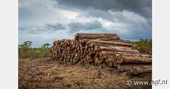 Europese Commissie wil invoering ontbossingsverordening jaar uitstellen