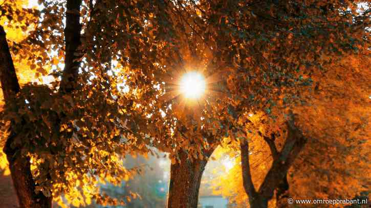 Geniet van de zon de komende dagen, het mooie weer is van korte duur