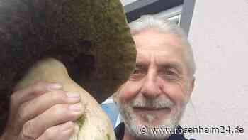 Glückspilz findet Riesenschwammerl: Was macht Helmut mit dem 1,3-Kilo-Giganten?