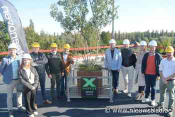 Kruishove verwacht volgende zomer eerste bewoners: “Meest klimaatvriendelijke woonbuurt van Kruisem”
