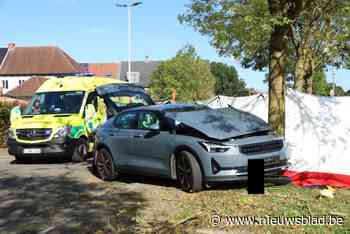 Dodelijk ongeval in Belsele: man overlijdt na botsing tegen boom