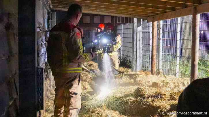 Kostbaar hooi in brand bij dierenpark: 'Vliegt niet spontaan in brand'