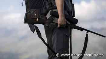 Bündner Jäger schiessen erstmals Wölfe auf der Hochjagd