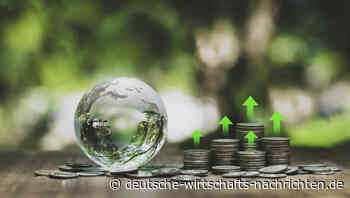 Trotz Zinssenkungen stabil bleiben: So schützen Anleger ihr Vermögen