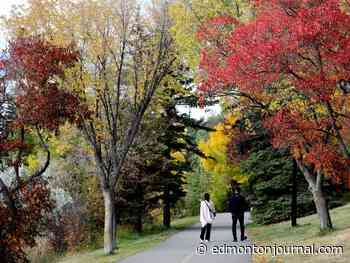 Edmonton weather: A typically chilly Autumn day