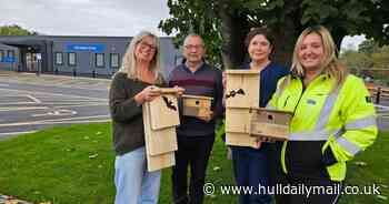 Hospital waste creates new homes for nature