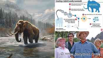 Inside the wacky plan to 'de-extinct' the woolly mammoth as early as 2028