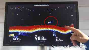 Has Nessie finally been FOUND? Seasoned Loch Ness skipper shares images of monster-like shape caught on sonar