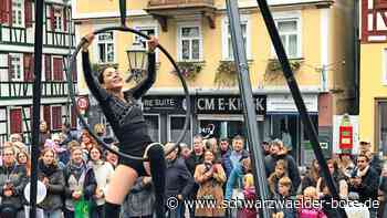 Verkaufsoffener Feiertag: „Calwer Herbst“ bietet tolle Mischung