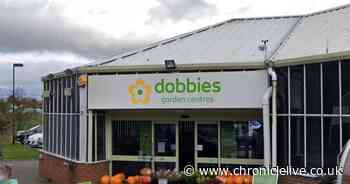 "Devastating news" as Dobbies' garden centre to close "with Christmas on the horizon"