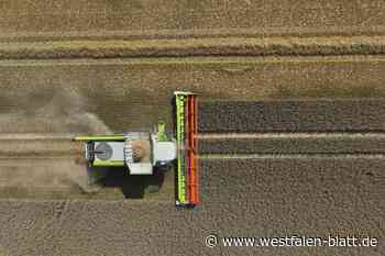 Landwirte-Chef sagt: „Wir spüren den Klimawandel“